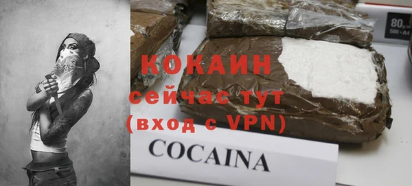 прущие грибы Арсеньев
