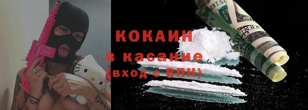 мдпв Горнозаводск