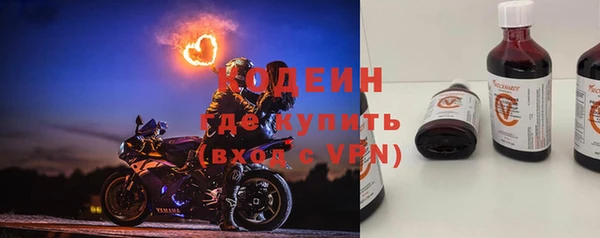 прущие грибы Арсеньев