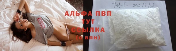 PSILOCYBIN Армянск