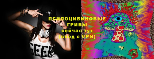 ГАЛЛЮЦИНОГЕННЫЕ ГРИБЫ Аркадак